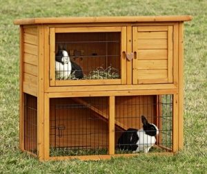 Huisvesting konijn – Konijnenherberg